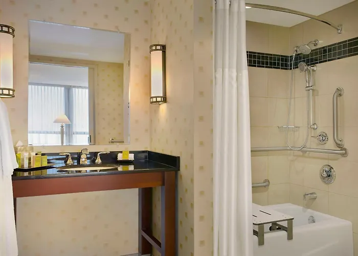 Hilton Chicago O'hare Airport Розмонт
