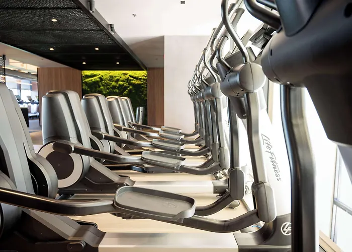 Hilton Chicago O'hare Airport Hotel 4*