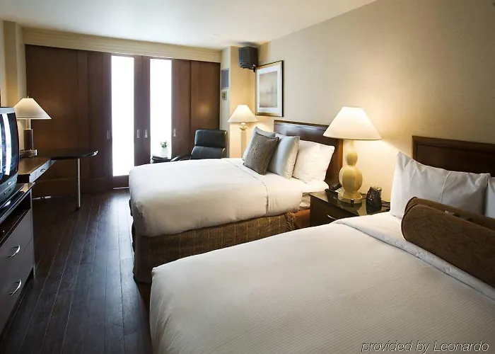 Hilton Chicago O'hare Airport Rosemont