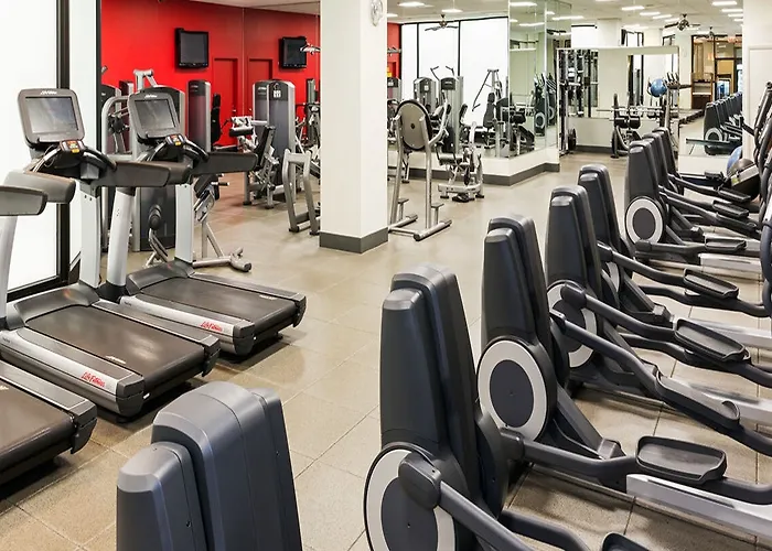 Hilton Chicago O'hare Airport Hotel 4*